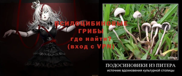 COCAINE Медвежьегорск