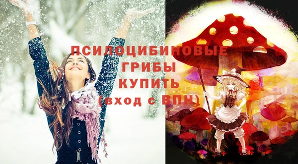 эйфоретик Медногорск