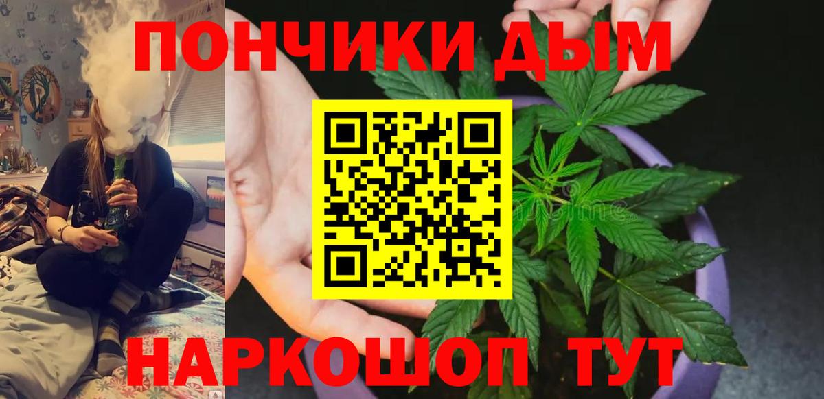 Конопля сатива Арзамас